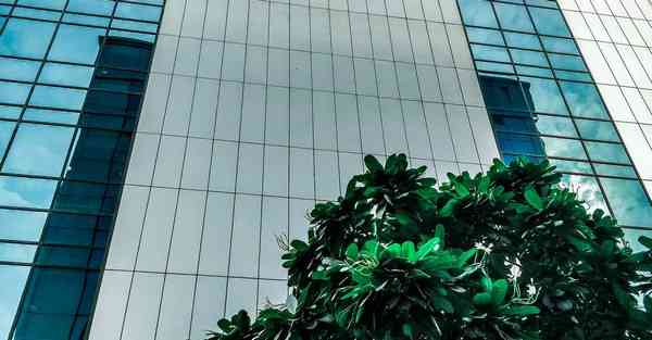 大数据助力茶叶