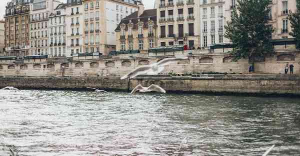 金融大数据的数据特点（金融大数据的数据特点是什么）