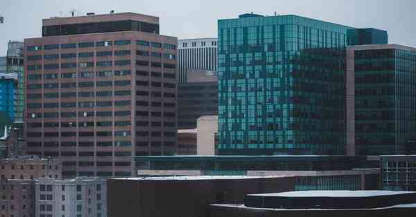 外国语单招大数据的行业文章