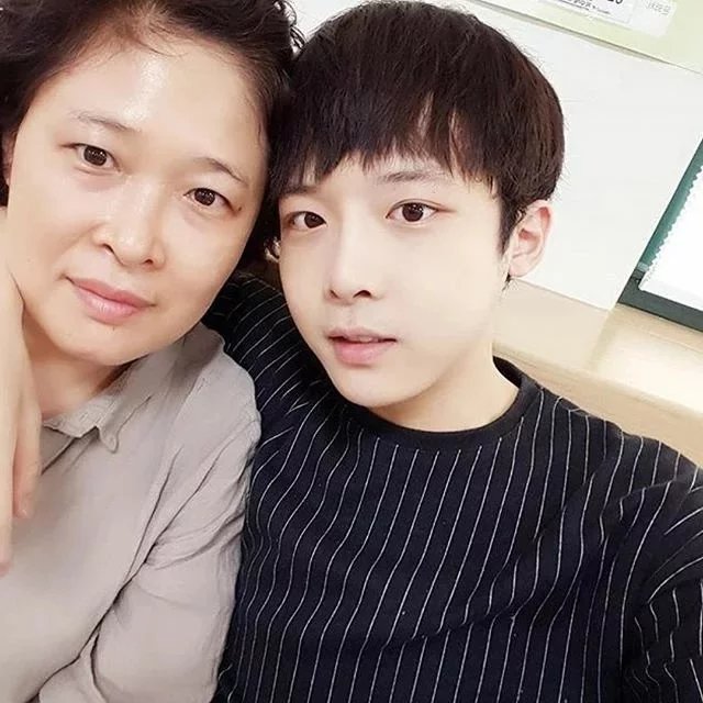 季婵树丽