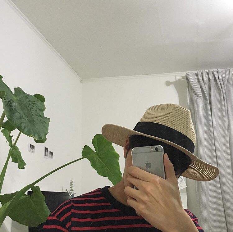 毛彬腾菊