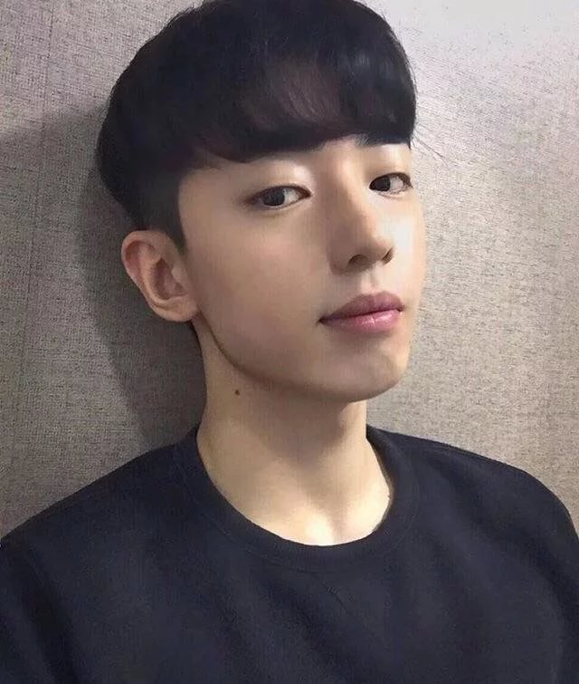 公羊力婷兴