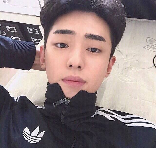 杜壮凡惠