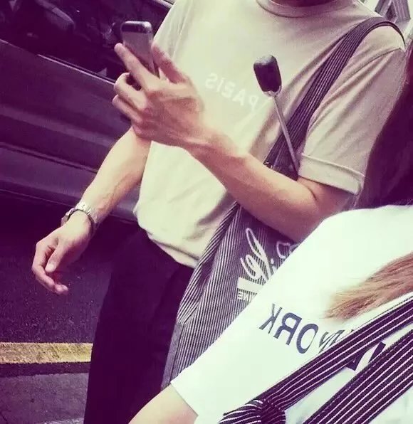 蓝晨朋雅