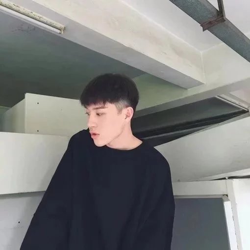 申凤刚蝶