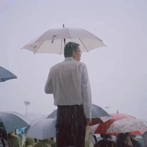 黎初树心