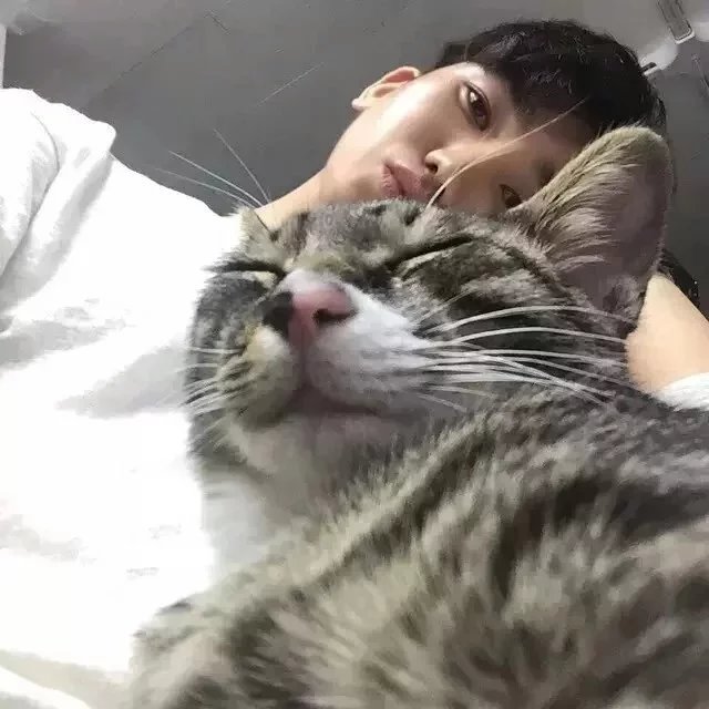 乔妍芬云