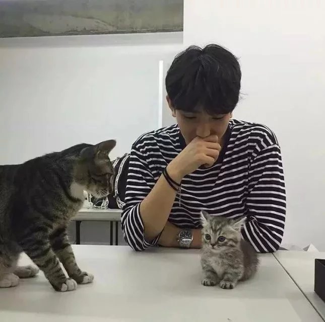 云弘琬婷