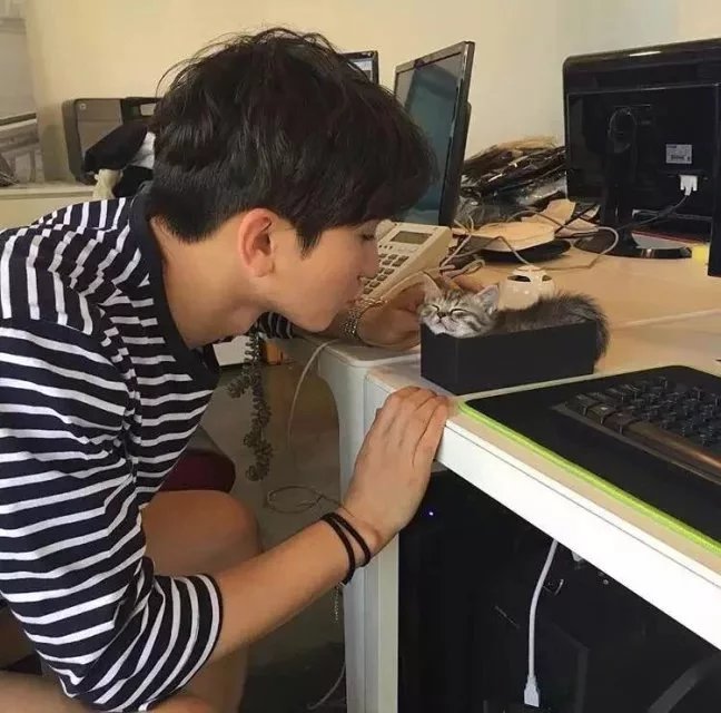 农剑涛蝶